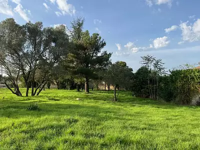 Maison neuve, 50 m²