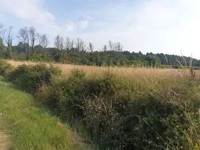 Terrain à bâtir, 1 380 m²