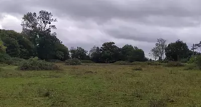 Terrain à bâtir, 1 304 m²