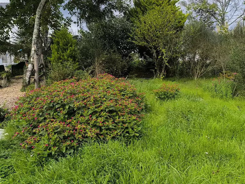 Maison neuve, 106 m² - Saint-Molf (44350)