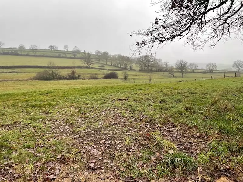 Terrain à bâtir, 949 m² - Saint-Romain-sous-Gourdon (71230)