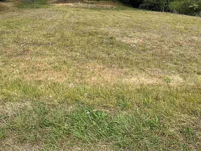 Terrain à bâtir, 2 980 m²