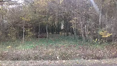 Terrain à bâtir, 666 m²