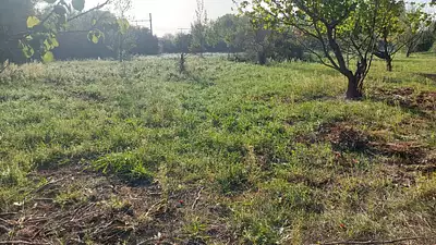 Maison neuve, 80 m²