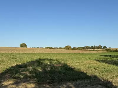 Terrain à bâtir - Lamontjoie (47310)