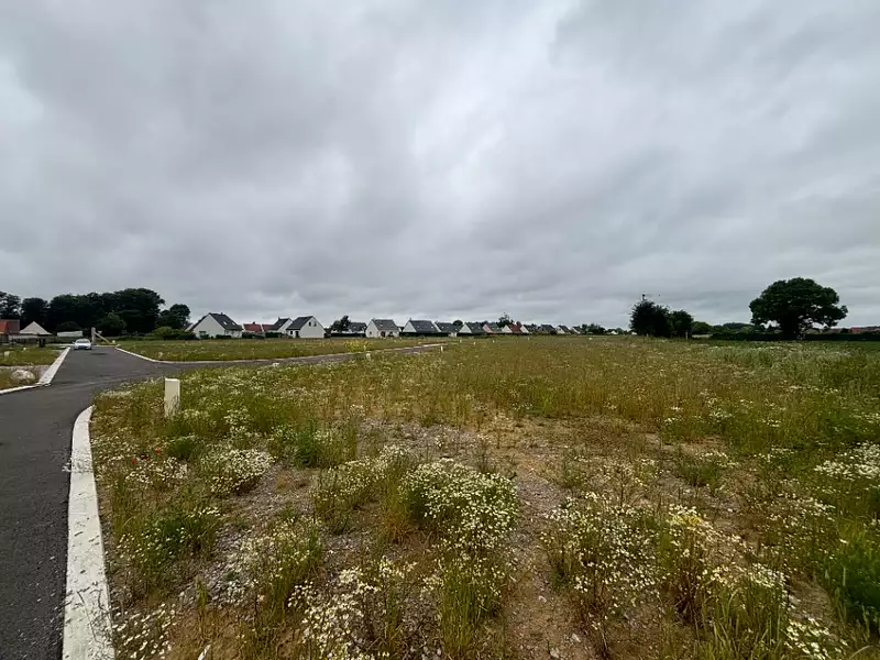 Terrain à bâtir, 489 m² - Wardrecques (62120)