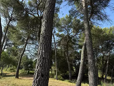 Terrain à bâtir, 1 040 m²