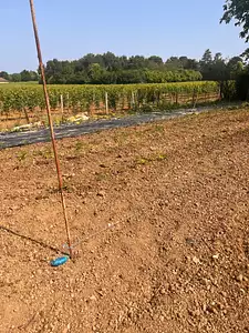 Terrain à bâtir, 600 m²