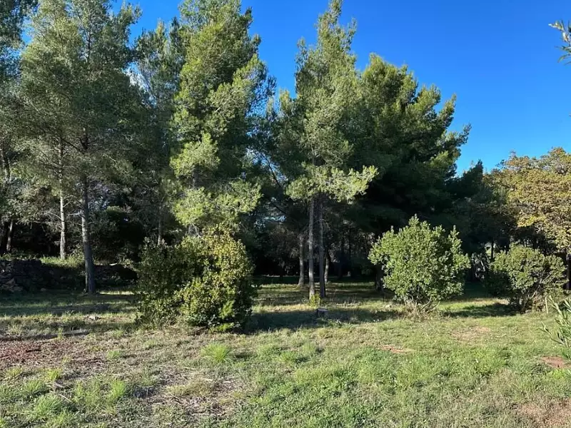 Terrain à bâtir, 600 m² - Ollioules (83190)
