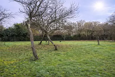 Terrain à bâtir, 734 m²