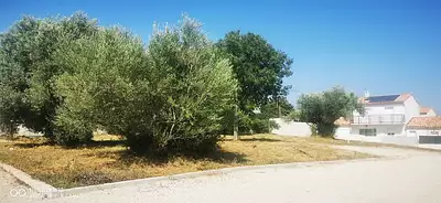 Maison neuve, 90 m²