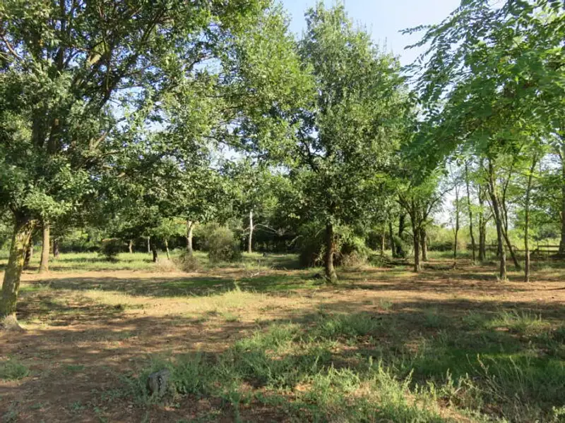 Terrain à bâtir, 540 m² - Montignargues (30190)