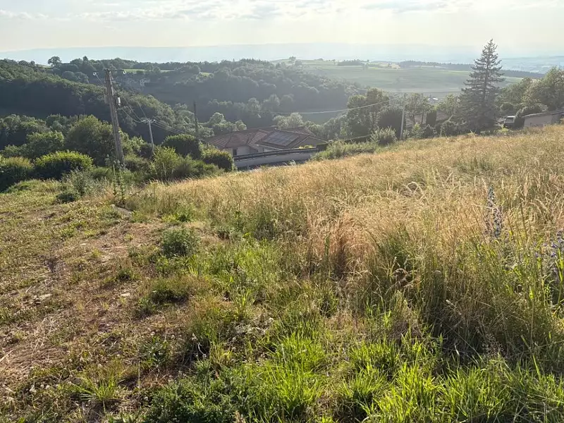 Terrain à bâtir, 764 m² - Grammond (42140)