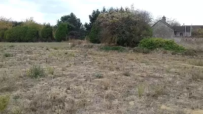 Terrain à bâtir, 656 m²