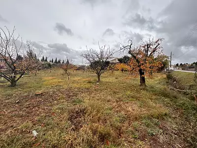 Maison neuve, 138 m²