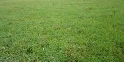 Terrain à bâtir, 1 000 m²