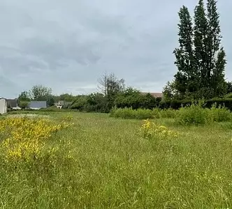 Terrain à bâtir, 805 m²