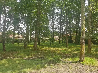 Terrain à bâtir, 1 034 m²