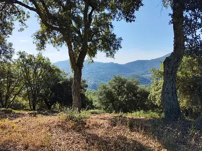 Maison neuve, 142 m²