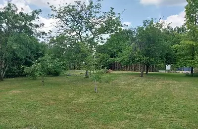 Maison neuve, 93 m²