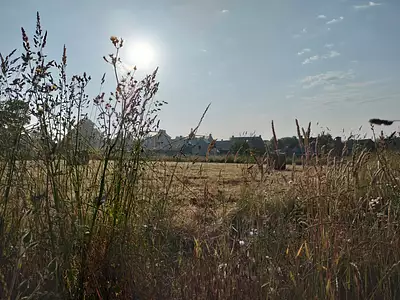 Terrain à bâtir, 467 m²