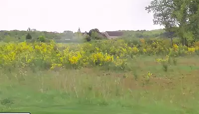 Terrain à bâtir, 505 m²