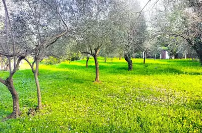 Maison neuve, 90 m²