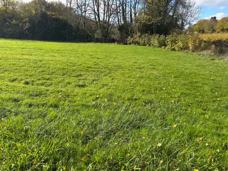 Terrain à bâtir, 700 m² - Martillac (33650)