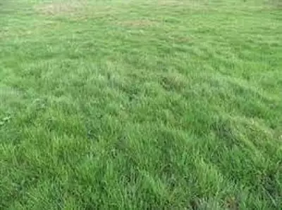 Terrain à bâtir, 466 m²