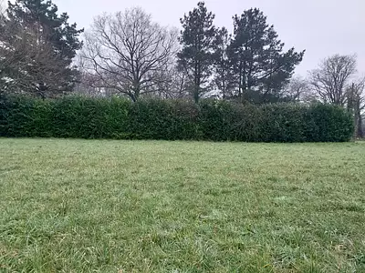 Terrain à bâtir, 980 m²