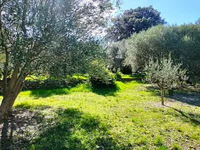 Maison neuve, 90 m²