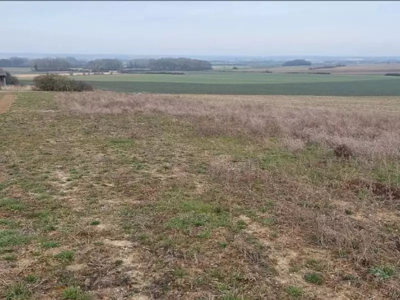 Terrain à bâtir, 611 m² - Suippes (51600)
