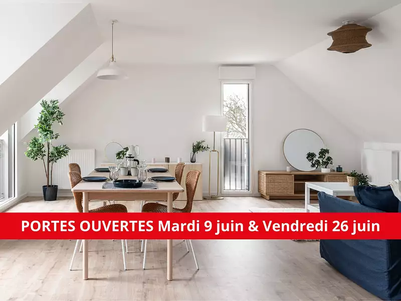 AGAPANTHE - Saint-Malo (35400)