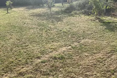 Maison neuve, 75 m²