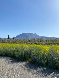Terrain à bâtir, 702 m²