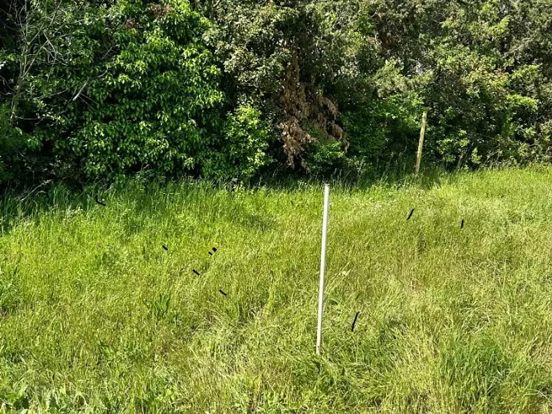 Maison neuve, 80 m² - Septèmes-les-Vallons (13240)