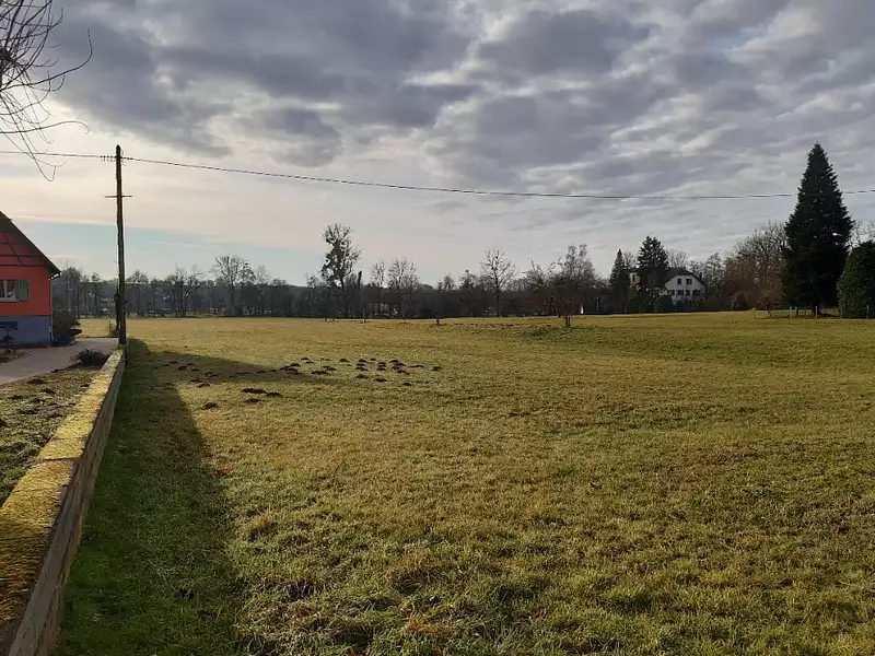 Terrain à bâtir, 1 000 m² - Balschwiller (68210)