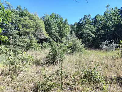 Terrain à bâtir, 1 397 m²
