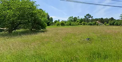 Terrain à bâtir, 2 500 m²