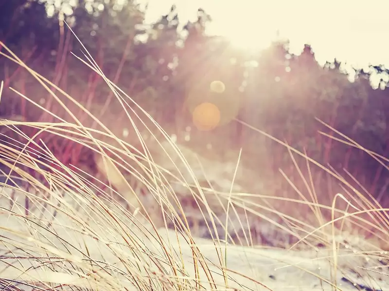 Terrain à bâtir, 985 m² - Lugos (33830)