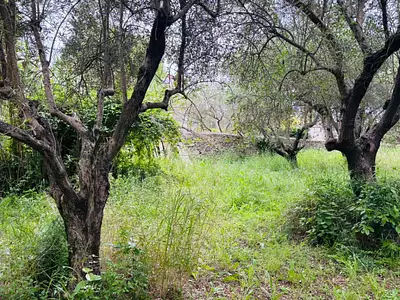 Terrain à bâtir, 449 m²