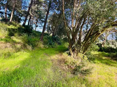 Terrain à bâtir, 700 m²