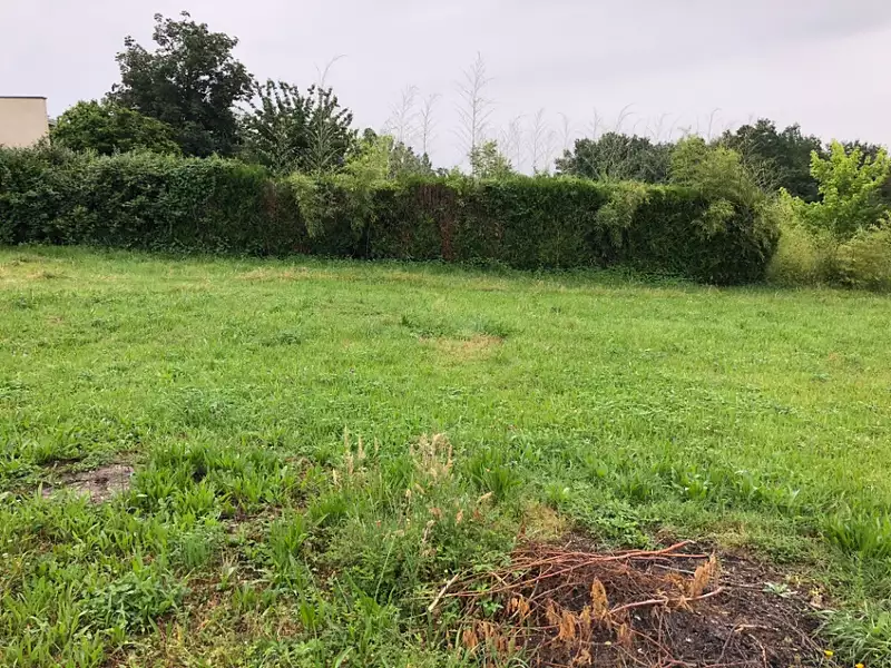 Maison neuve, 127 m² - Saint-Jean-sur-Veyle (01290)