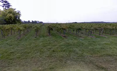 Maison neuve, 69 m²