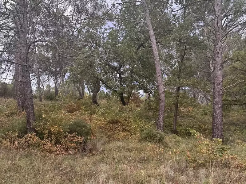 Terrain à bâtir, 426 m² - Fuveau (13710)