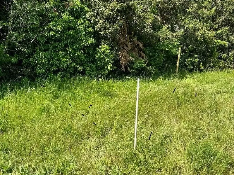 Terrain à bâtir, 440 m² - Septèmes-les-Vallons (13240)