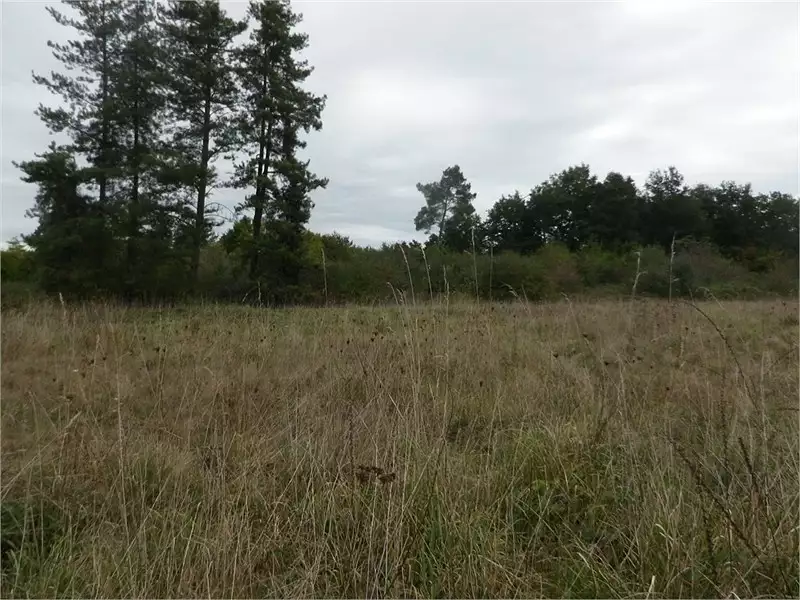 Terrain à bâtir, 410 m² - Libourne (33500)