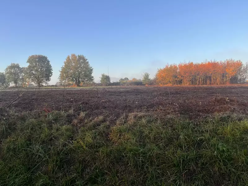 Terrain à bâtir, 700 m² - Cursan (33670)