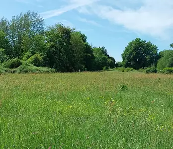 Maison neuve, 80 m²