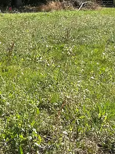 Maison neuve, 80 m²